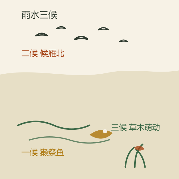 雨水三候物候示意:獭祭鱼、候雁北、草木萌动