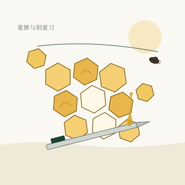 蜂巢蜜脾与取蜜工具的示意图