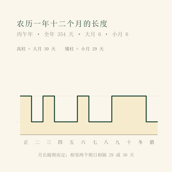农历月长度对照:29 天与 30 天