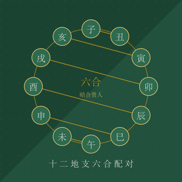 十二生肖六合配对图解