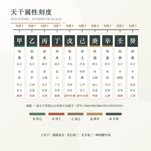 天干属性分栏刻度