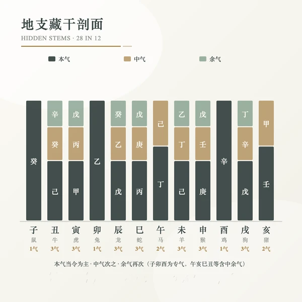 地支藏干本中余气剖面盘